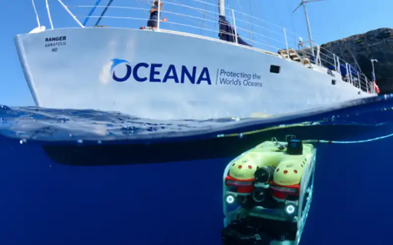 Oceana - Bottom Trawling Spain