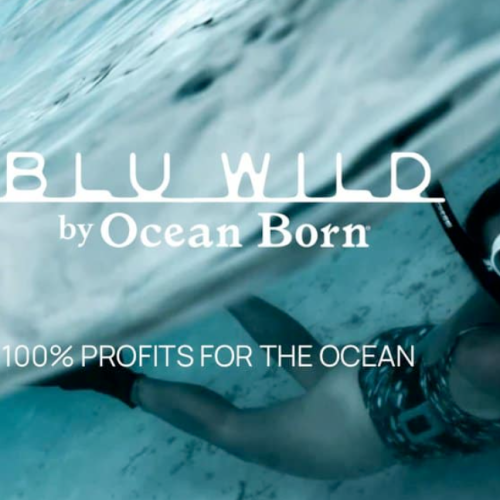 BluWildweb