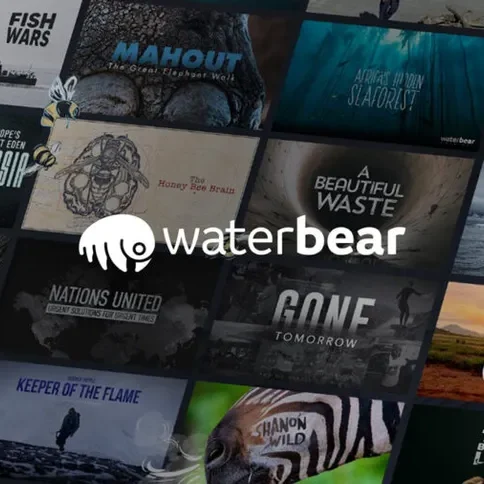 waterbear-900x506